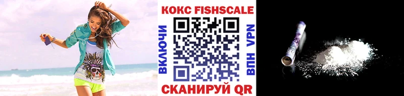 Продажа наркотиков Тара Кокаин  А ПВП  ГАШИШ  Галлюциногенные грибы  АМФЕТАМИН  Мефедрон  МАРИХУАНА 