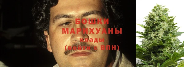 дживик Алзамай