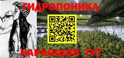 соль ск Обнинск