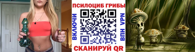 закладка kraken рабочий сайт Галлюциногенные грибы Psilocybe Тара