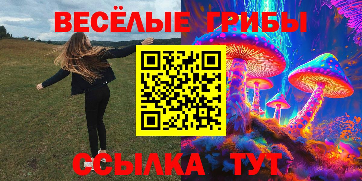 Псилоцибиновые грибы Cubensis  Вход с VPN  Тара 
