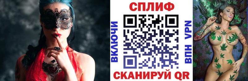 Канабис конопля  как найти   Тара 