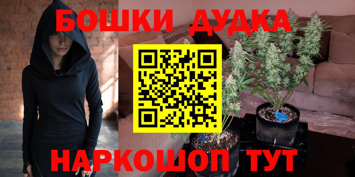 Бошки марихуана гибрид Тара